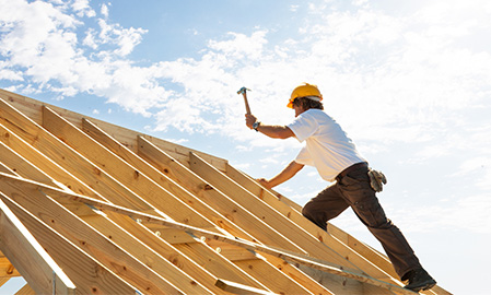 Building home